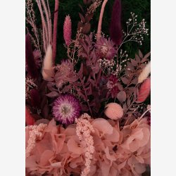 Nyt mosblomster billede